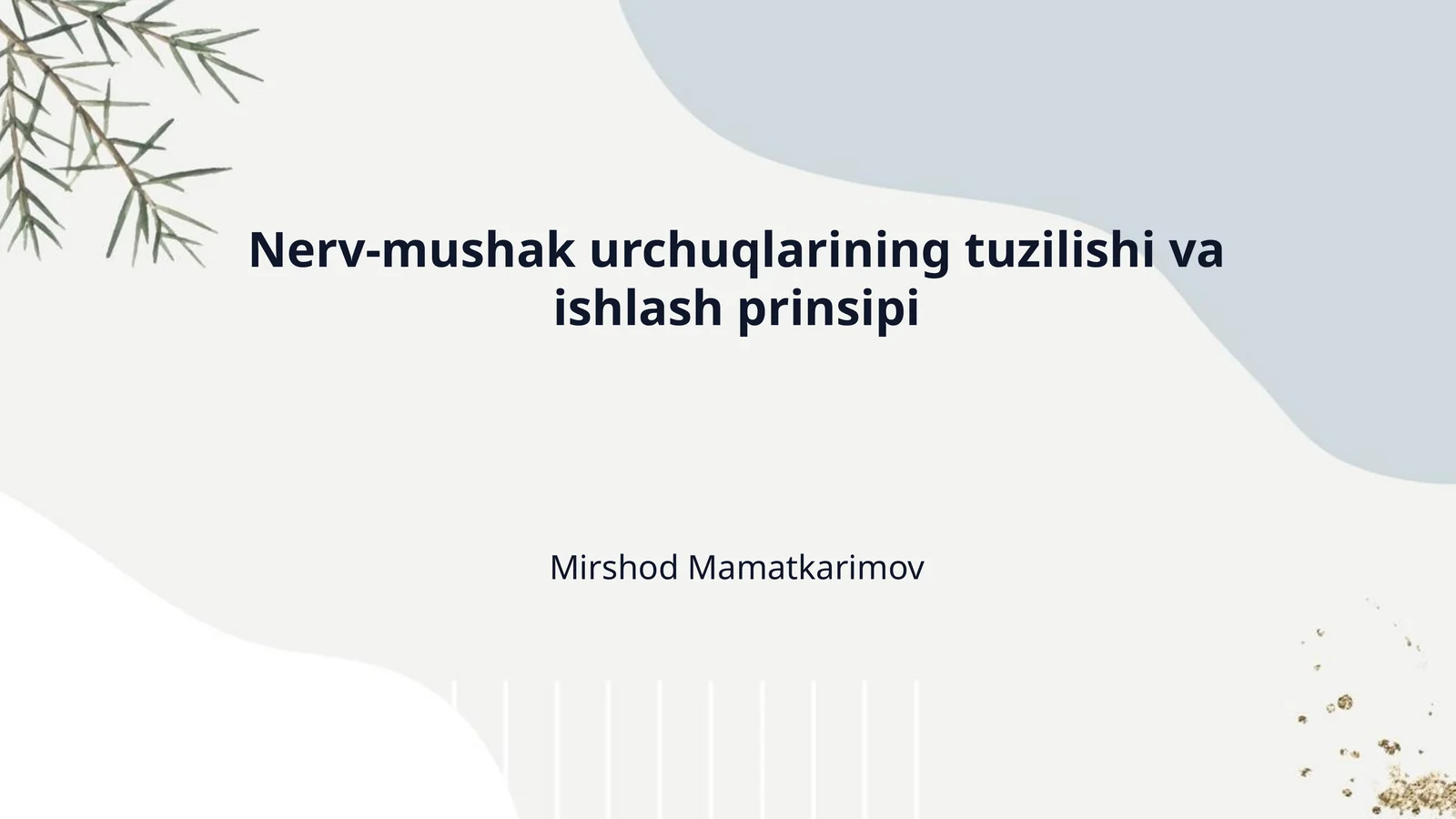 Nerv-mushak urchuqlarining tuzilishi va ishlash prinsipi