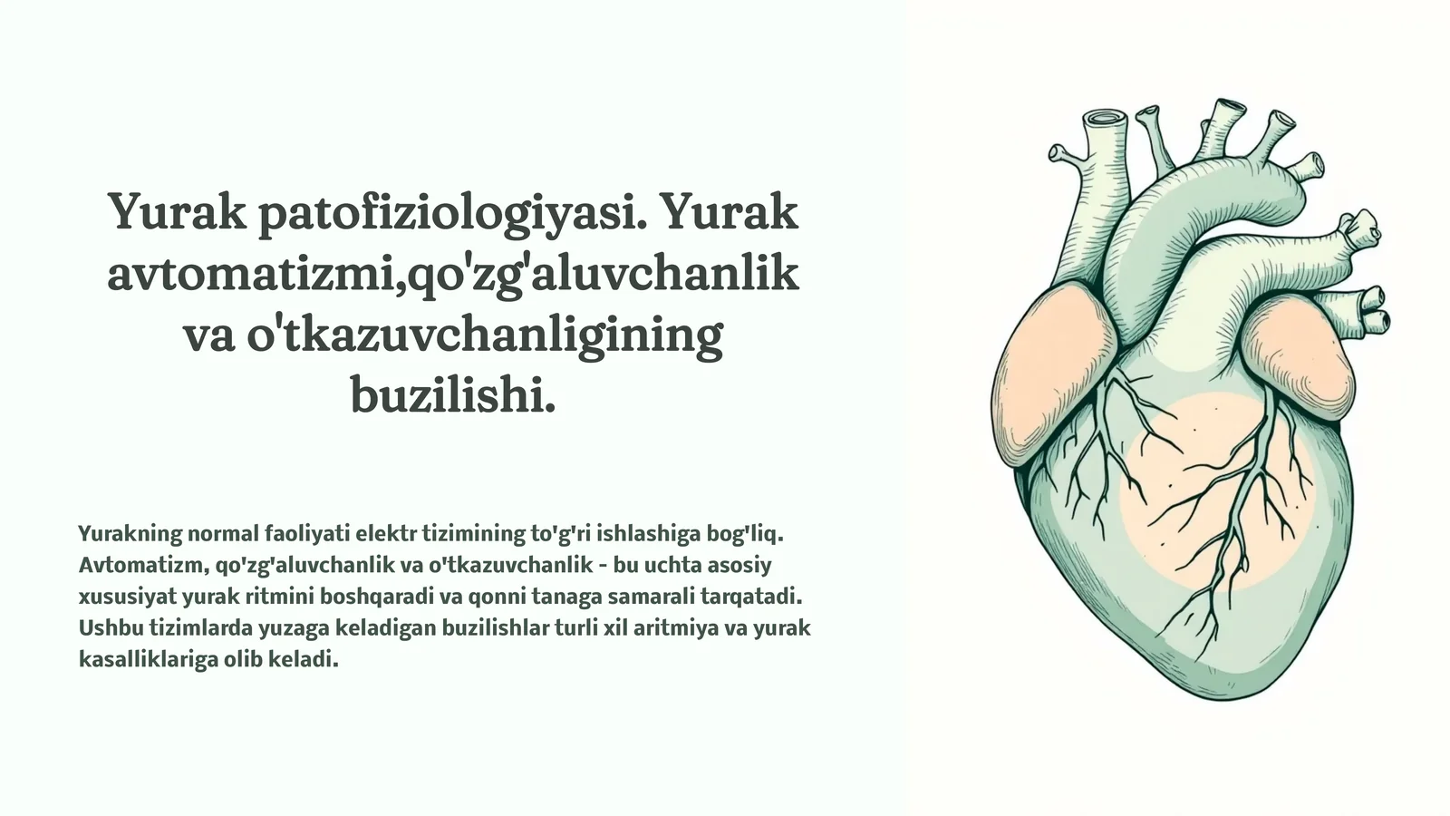 Yurak patofiziologiyasi. Yurak avtomatizmi,qo'zg'aluvchanlik va o'tkazuvchanligining buzilishi.