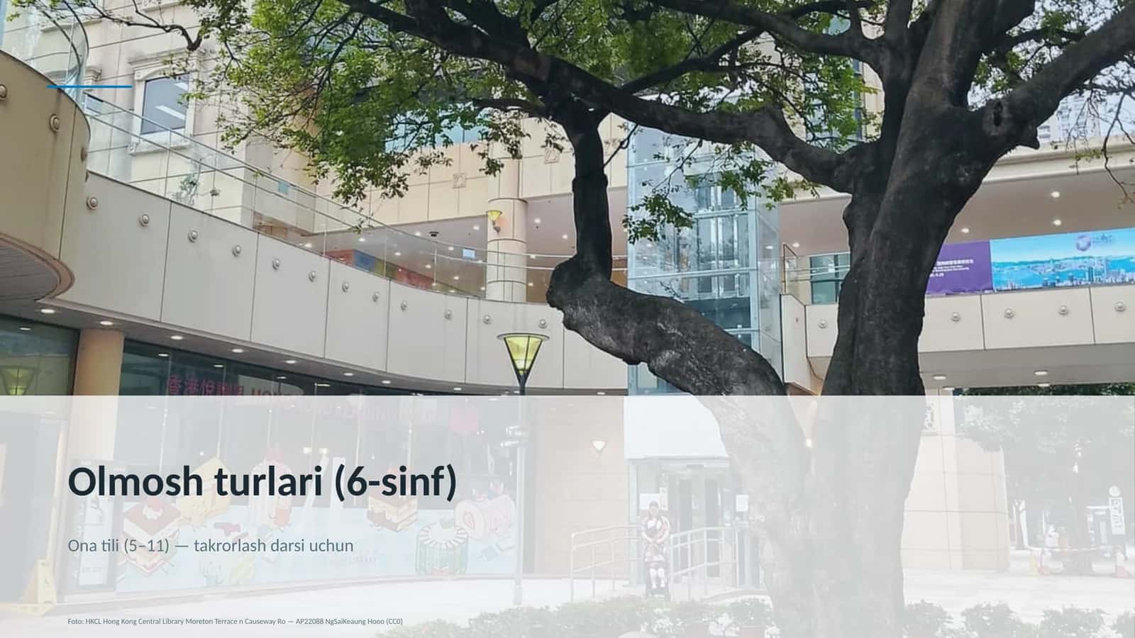 Olmosh turlari (6-sinf)