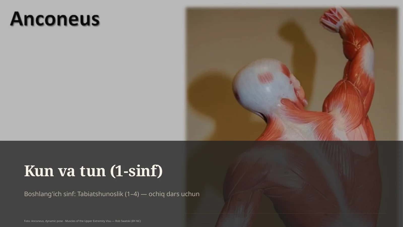 Kun va tun (1-sinf)