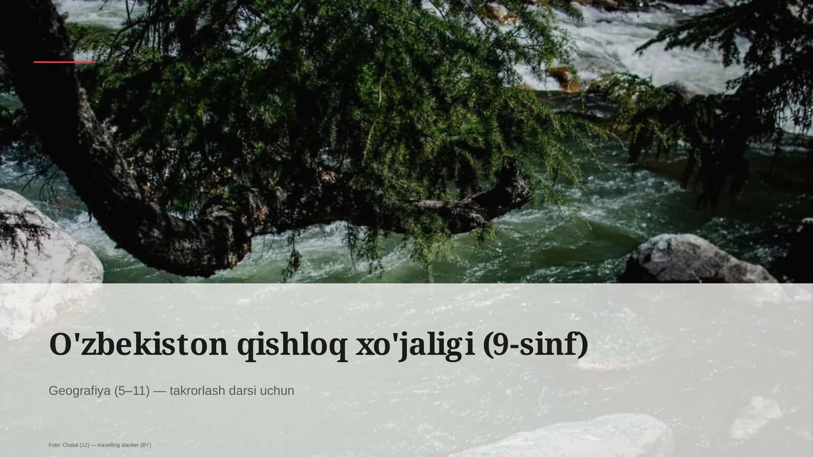 O'zbekiston qishloq xo'jaligi (9-sinf)