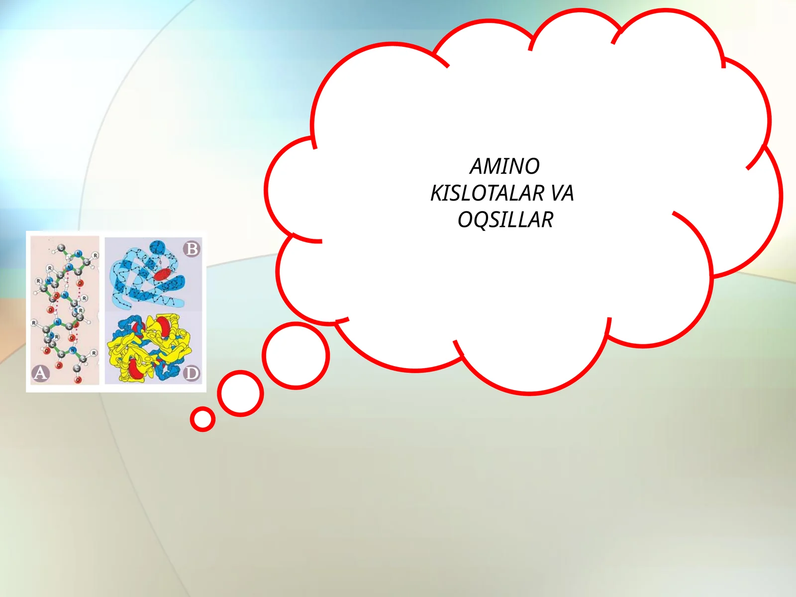 AMINO KISLOTALAR VA OQSILLAR