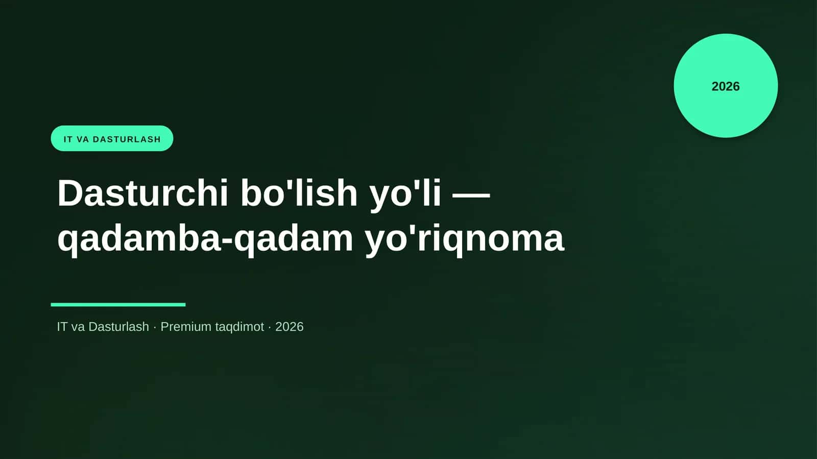 Dasturchi bo'lish yo'li — qadamba-qadam yo'riqnoma