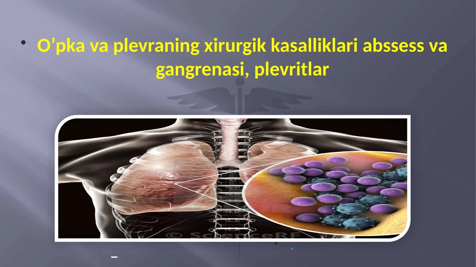O’pka va plevraning xirurgik kasalliklari abssess va gangrenasi, plevritlar