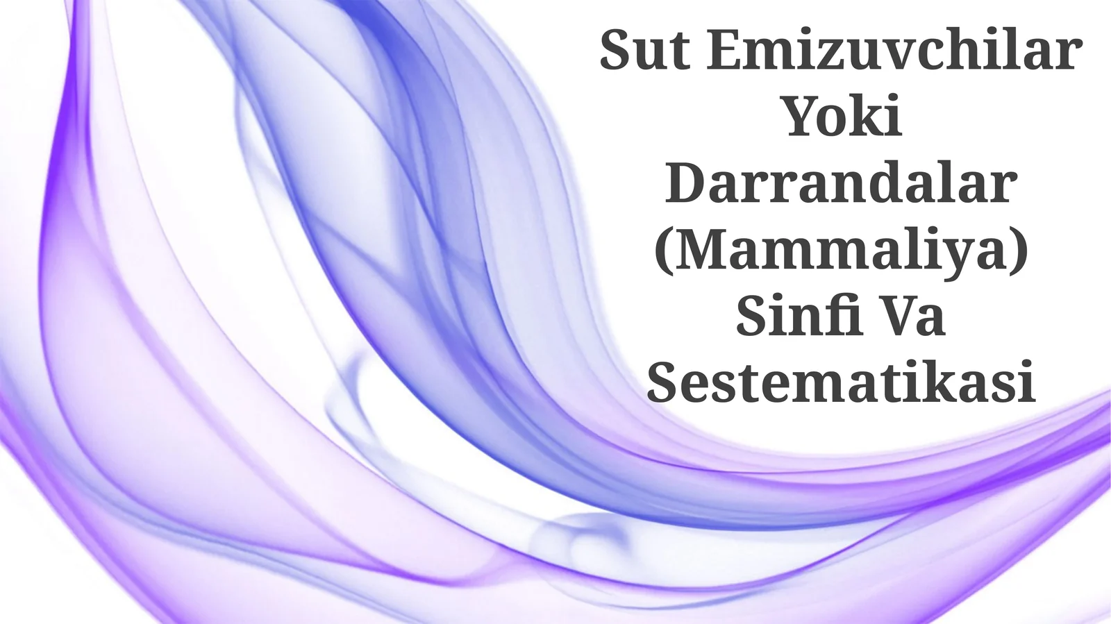 Sut Emizuvchilar Yoki Darrandalar (Mammaliya) Sinfi Va Sestematikasi