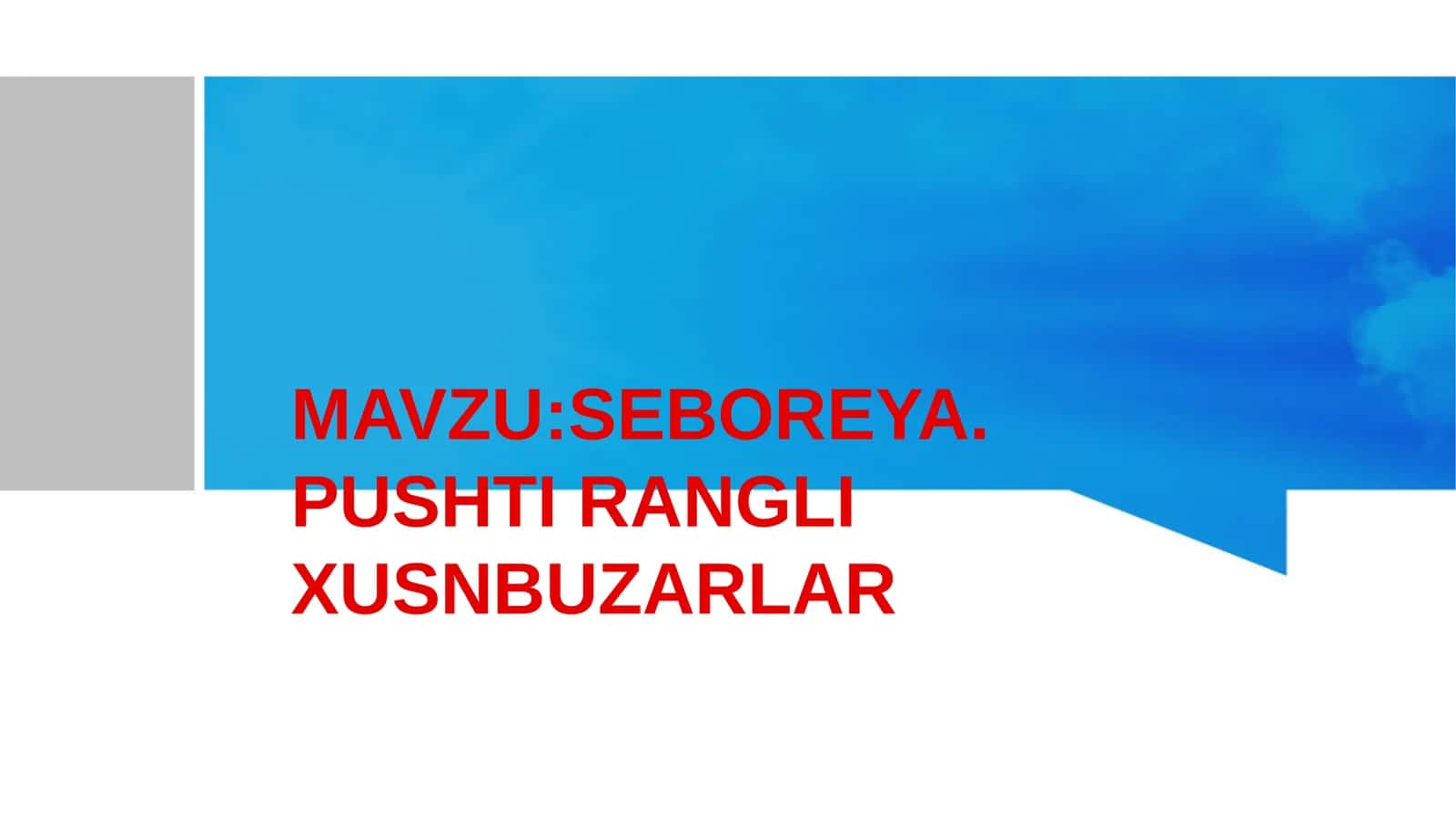 SEBOREYA . PUSHTI RANGLI XUSNBUZARLAR