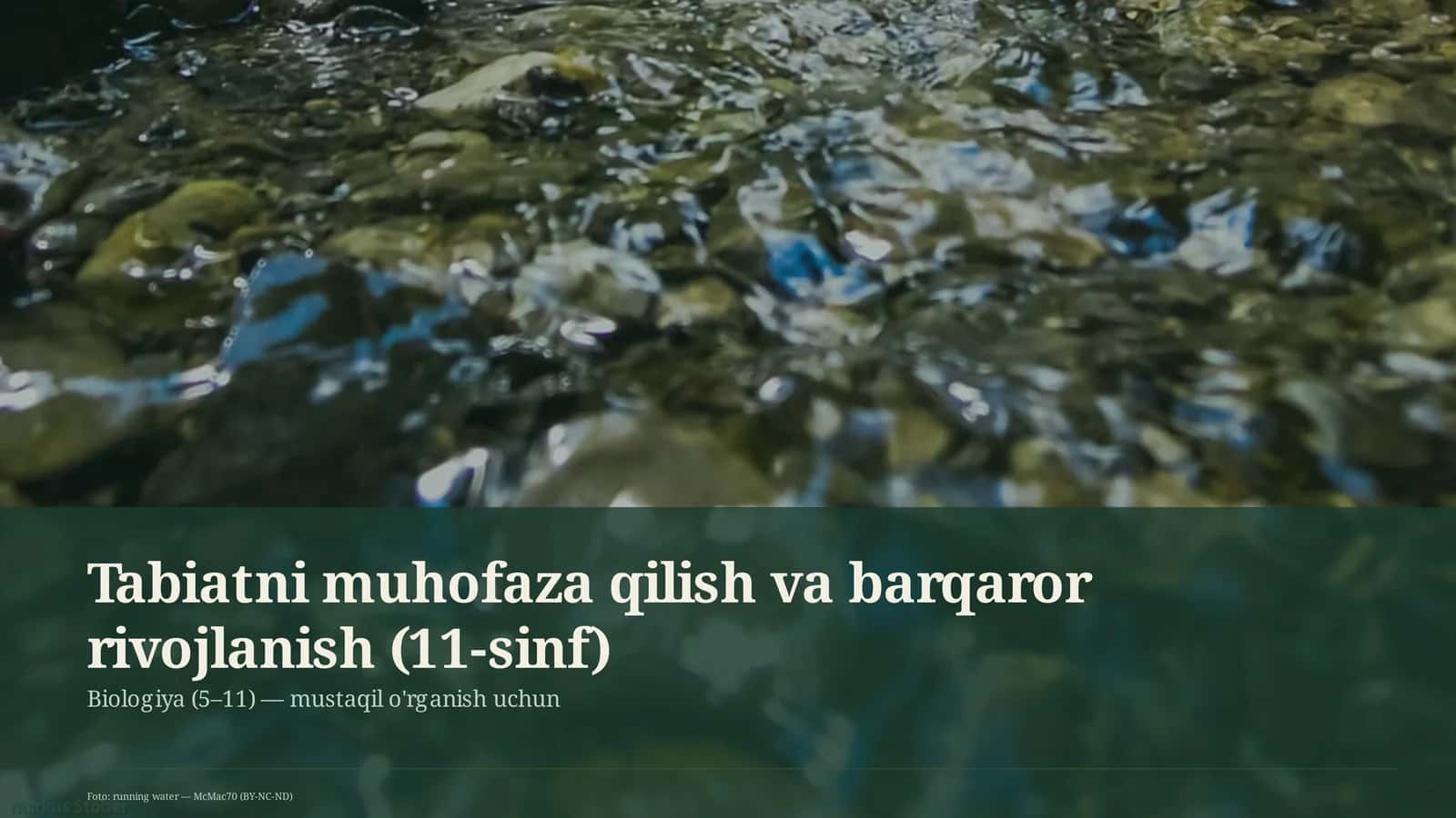 Tabiatni muhofaza qilish va barqaror rivojlanish (11-sinf)