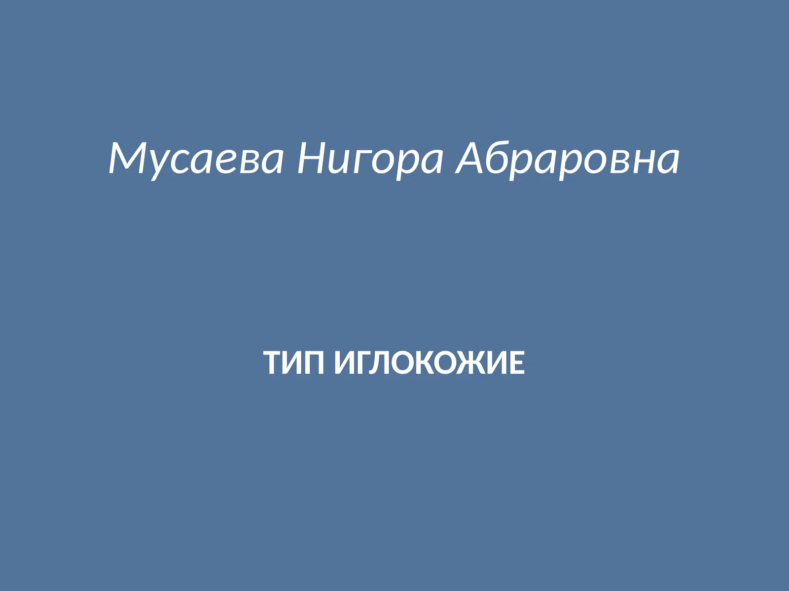ТИП ИГЛОКОЖИЕ