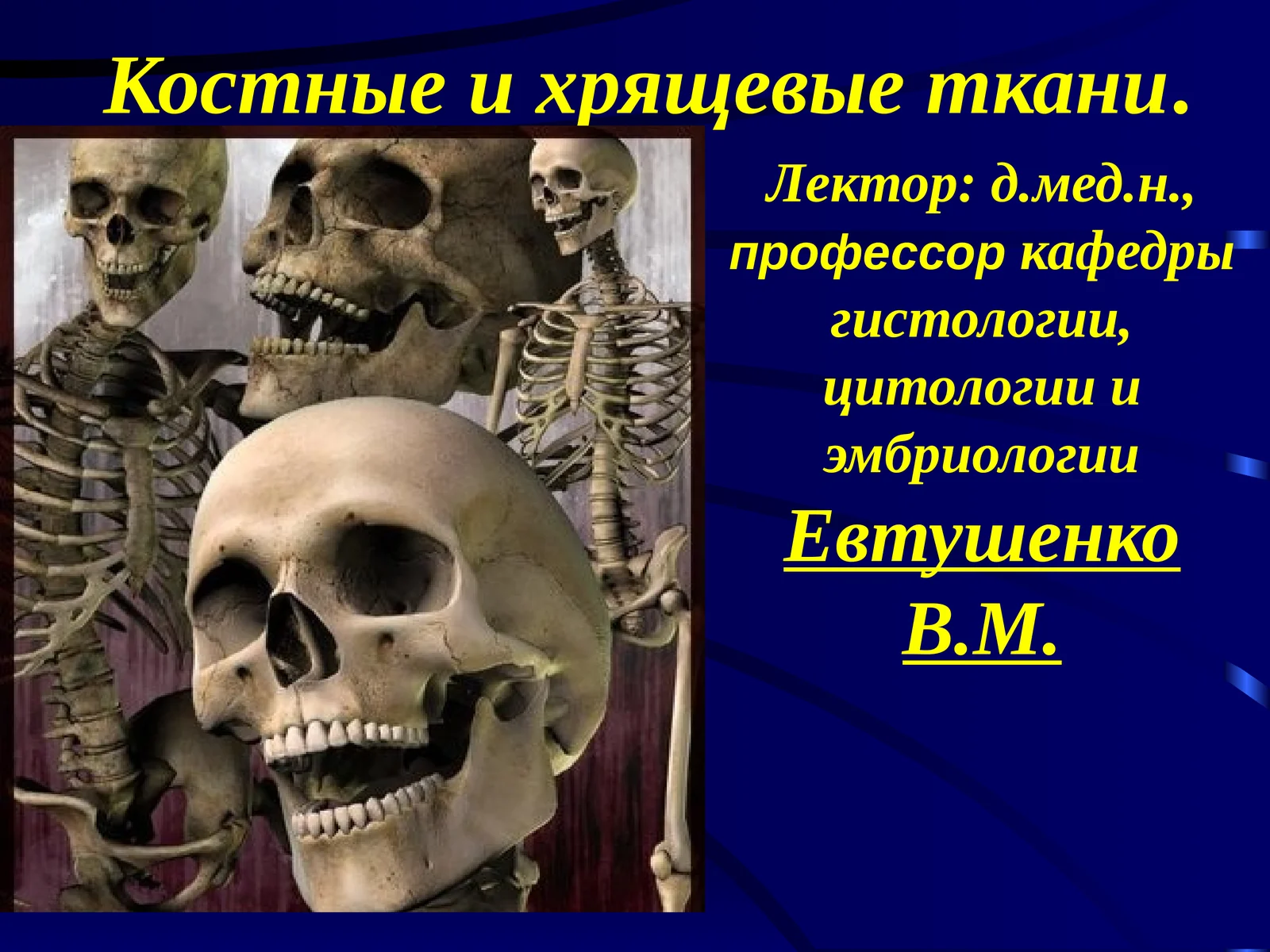 Костные и хрящевые ткани