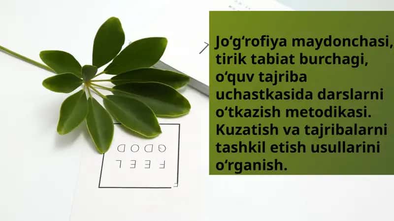 Jo‘g‘rofiya maydonchasi, tirik tabiat burchagi, o‘quv tajriba uchastkasida darslarni o‘tkazish metodikasi. Kuzatish va tajribalarni tashkil etish usullarini o‘rganish