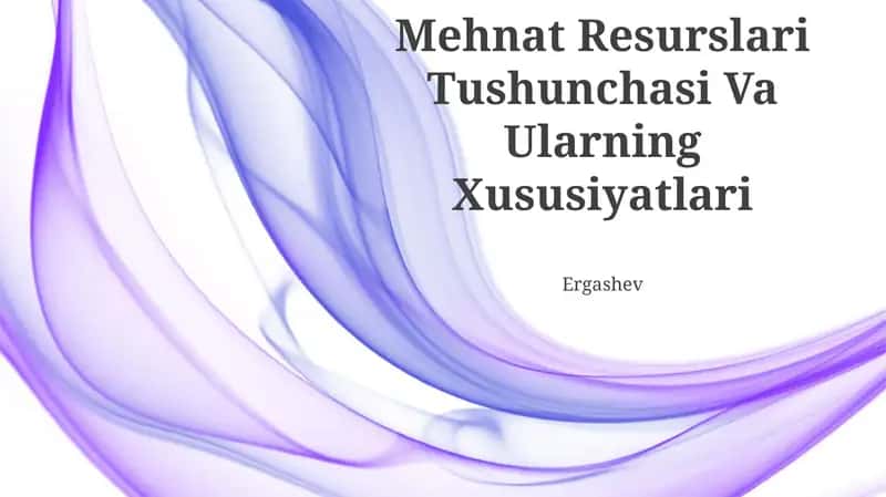 Mehnat Resurslari Tushunchasi Va Ularning Xususiyatlari