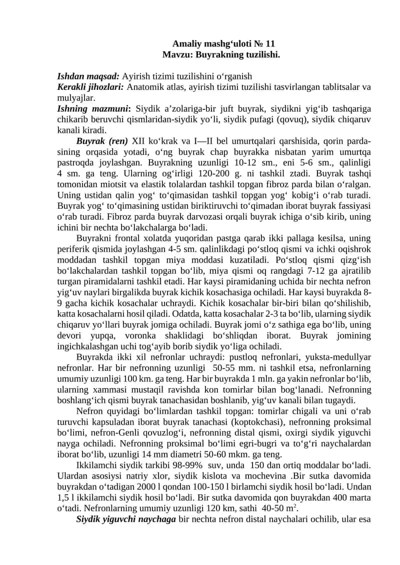 Buyrakning tuzilishi.