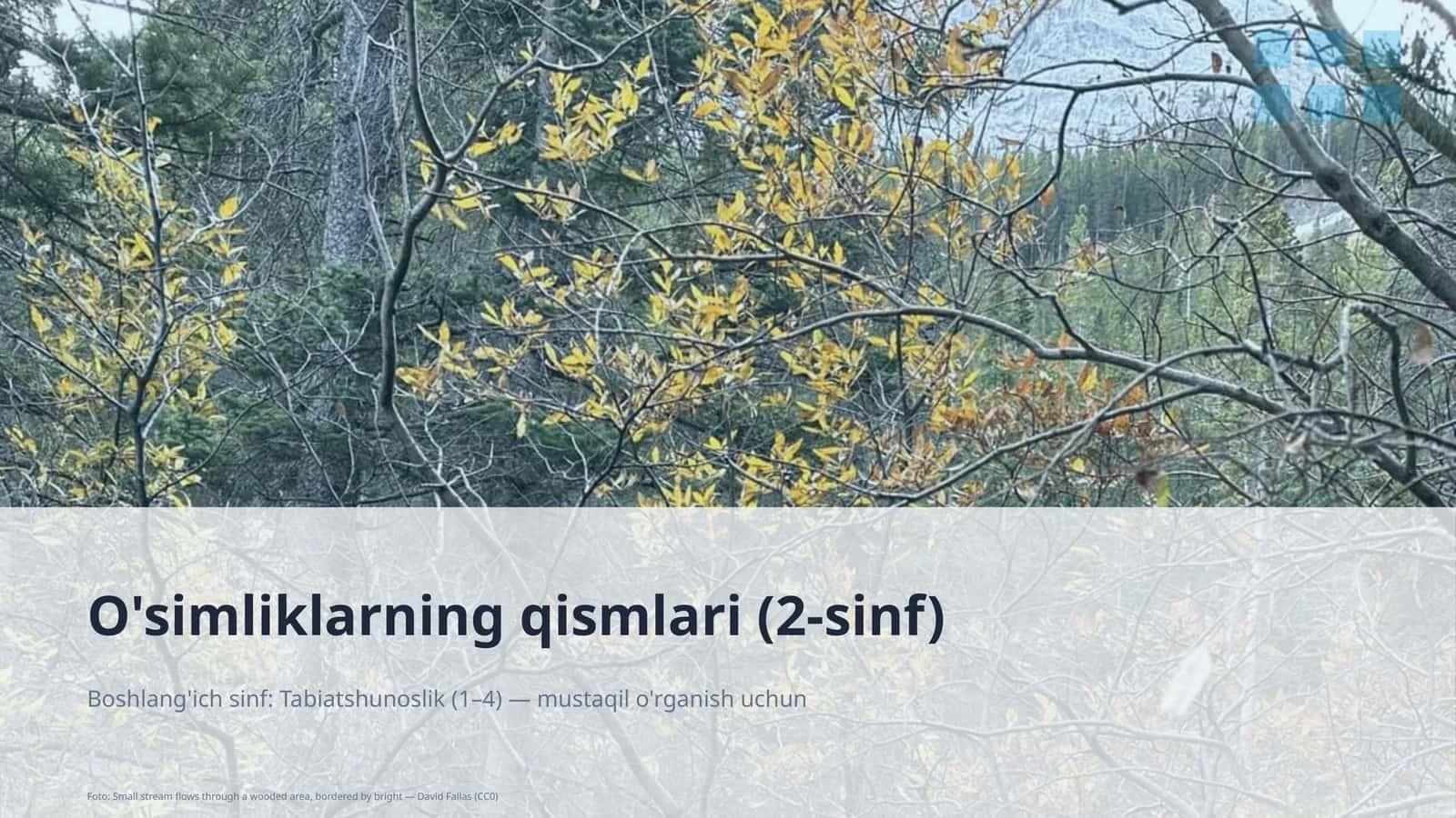 O'simliklarning qismlari (2-sinf)