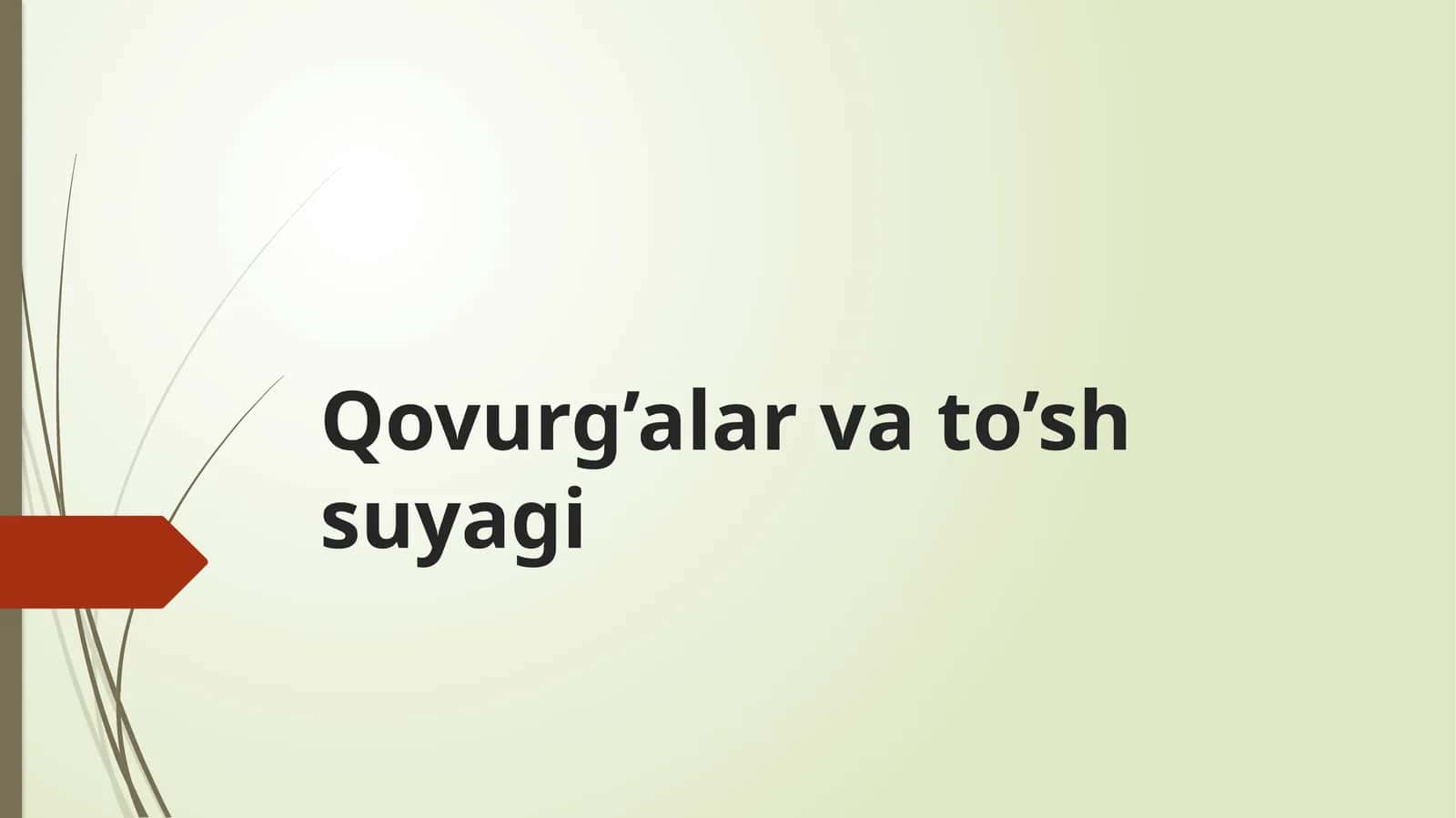 Qovurg’alar va to’sh suyagi