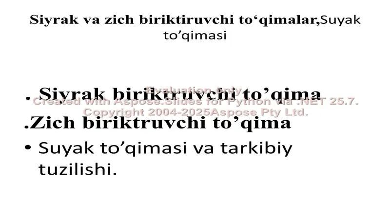 Siyrak va zich biriktiruvchi to‘qimalar, Suyak to’qimasi