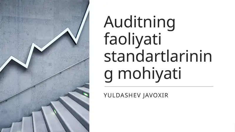 Auditning faoliyati standartlarining mohiyati