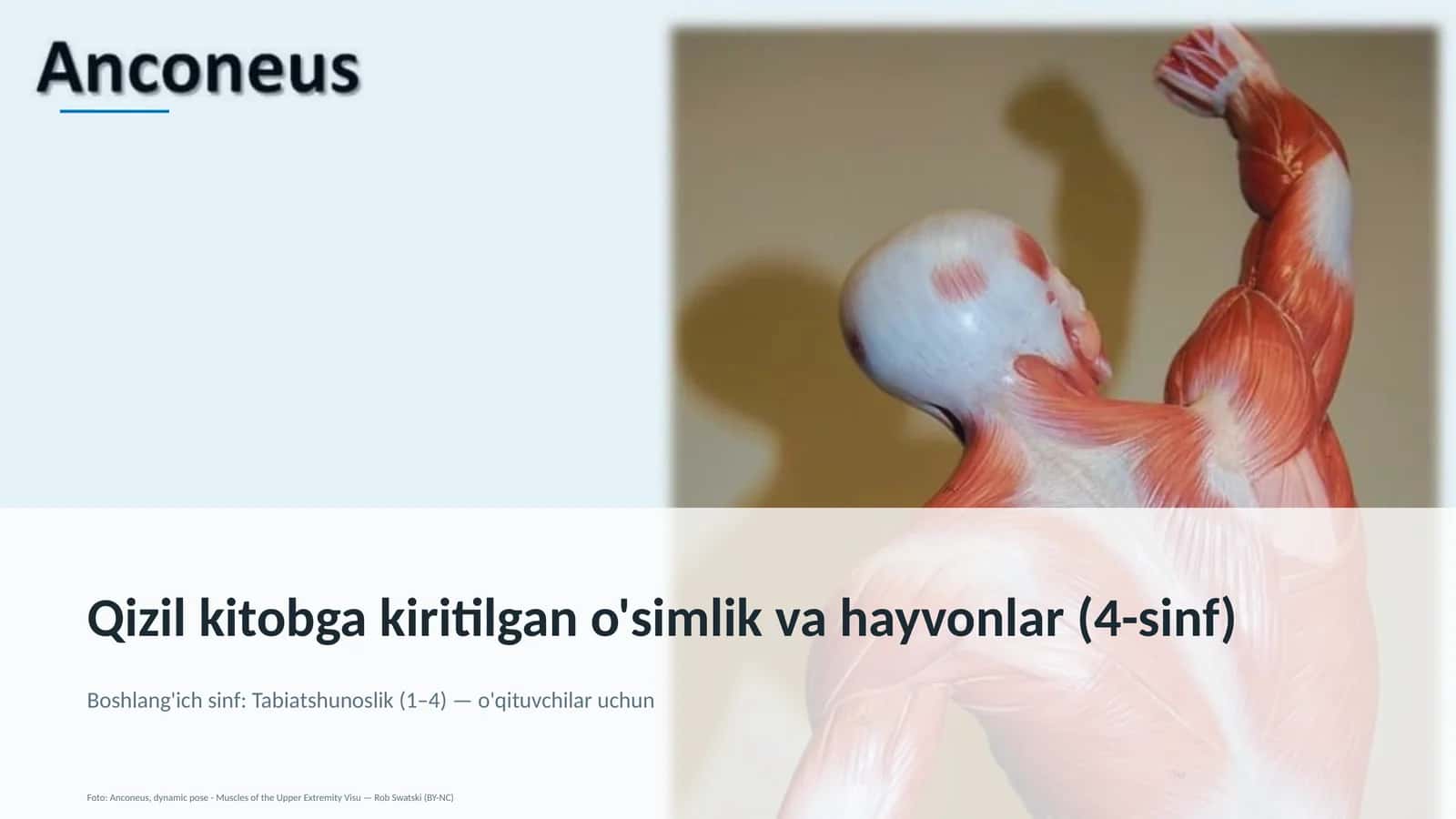Qizil kitobga kiritilgan o'simlik va hayvonlar (4-sinf)