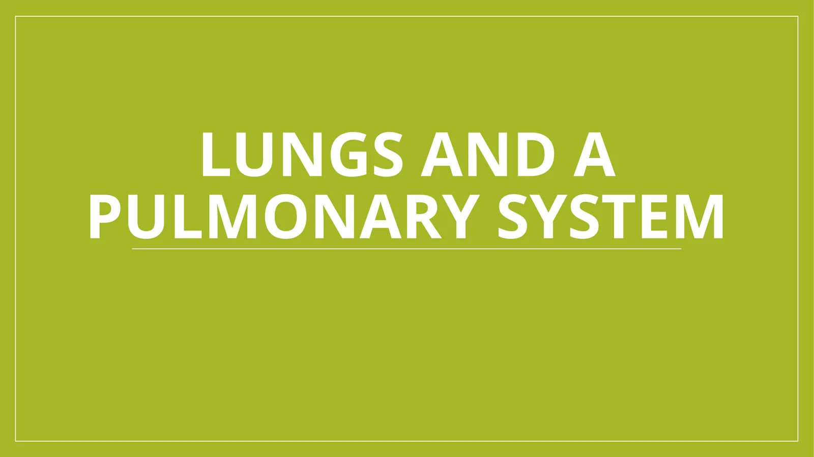 Lungs and a pulmonary system