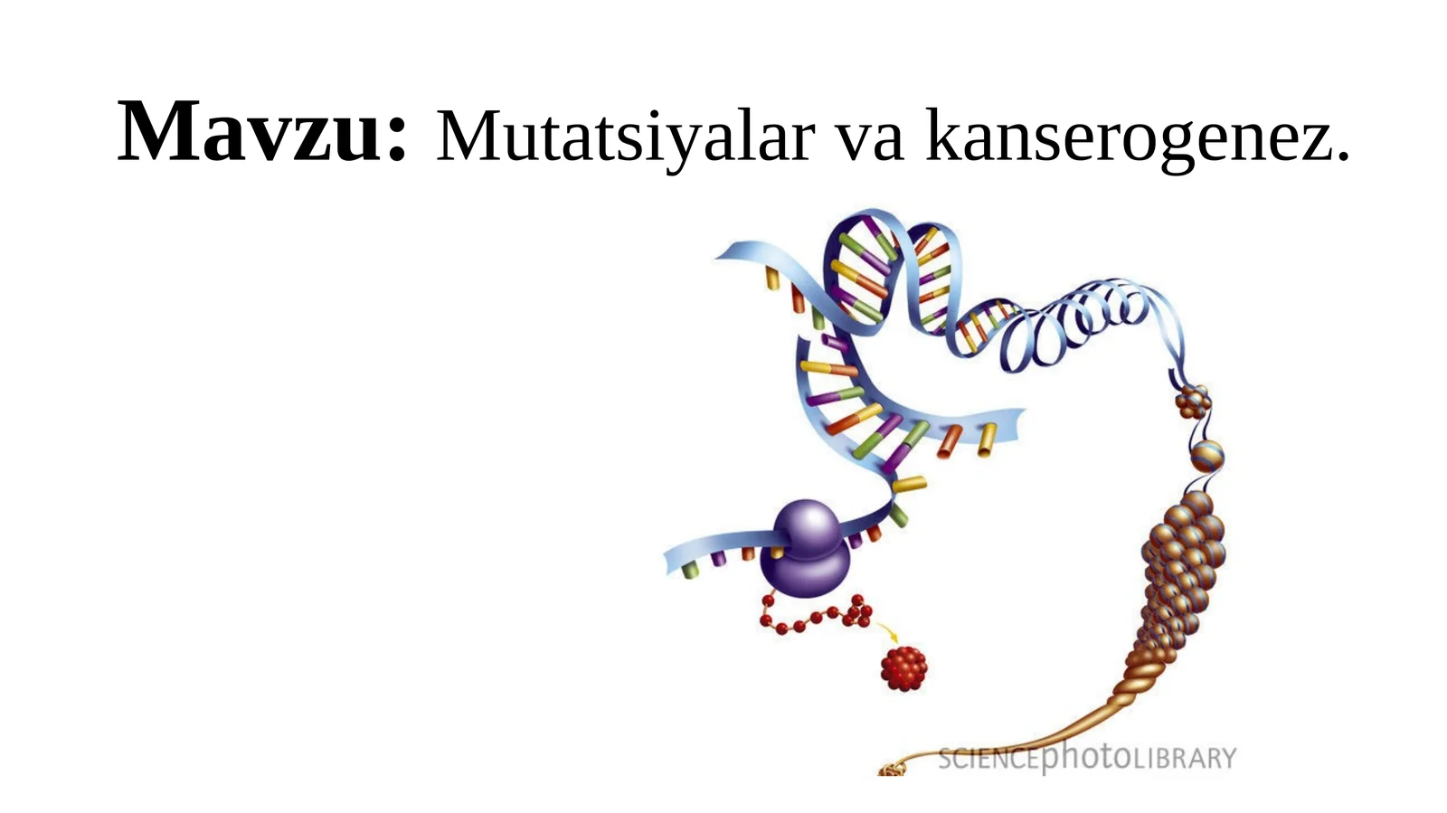 Mutatsiyalarva kanserogenez