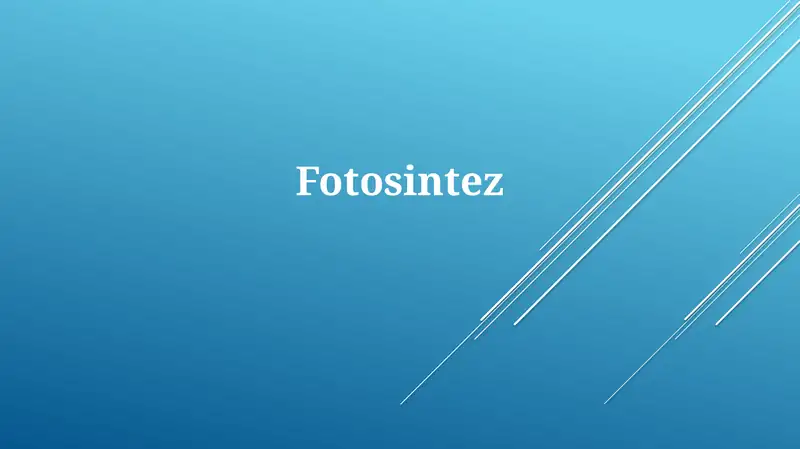 Fotosintez