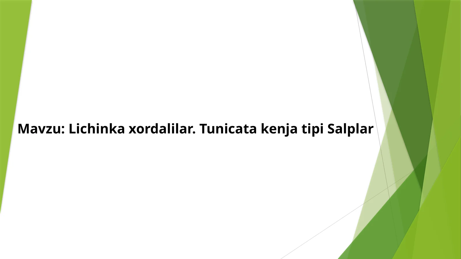 Lichinka xordalilar