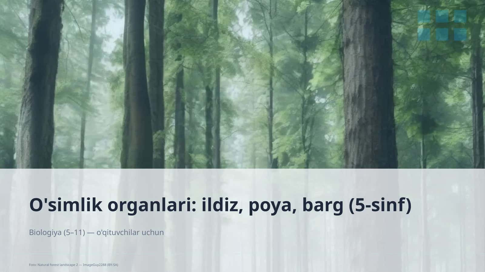 O'simlik organlari (5-sinf) Biologiya (5–
