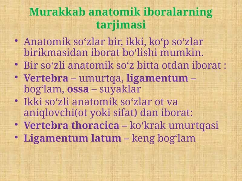 Murakkab anatomik iboralarning tarjimasi