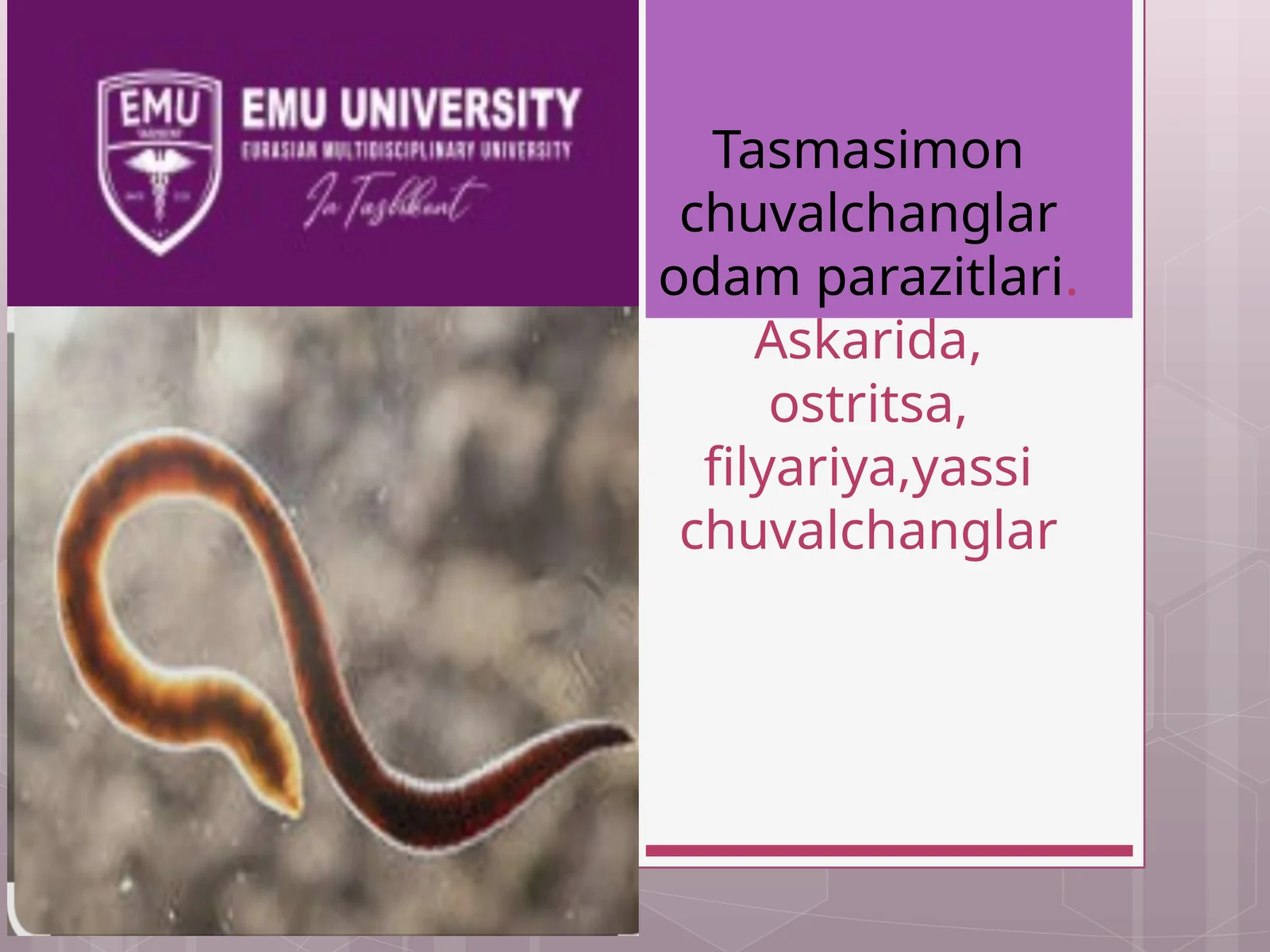 Tasmasimon chuvalchanglar odam parazitlari