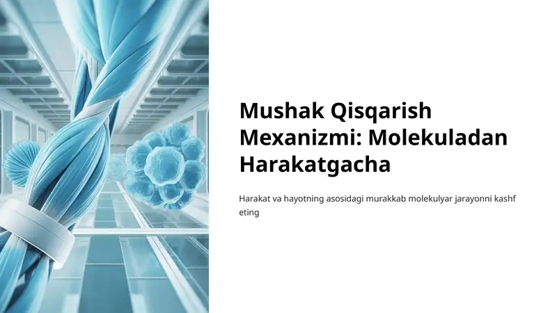 Mushak Qisqarish Mexanizmi