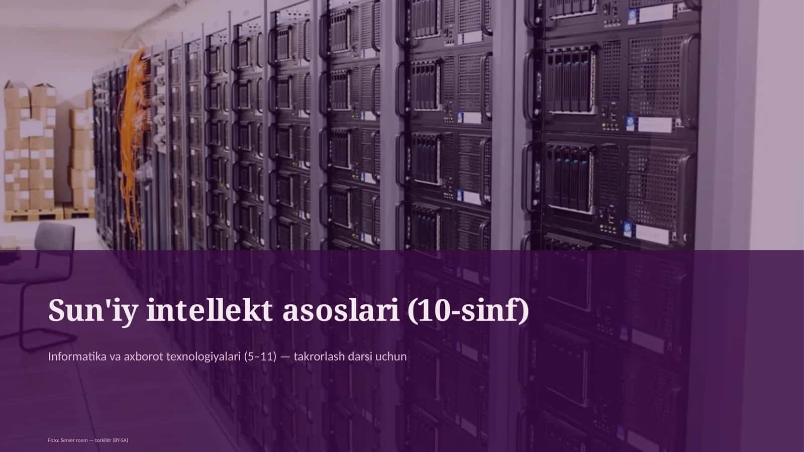 Sun'iy intellekt asoslari (10-sinf)