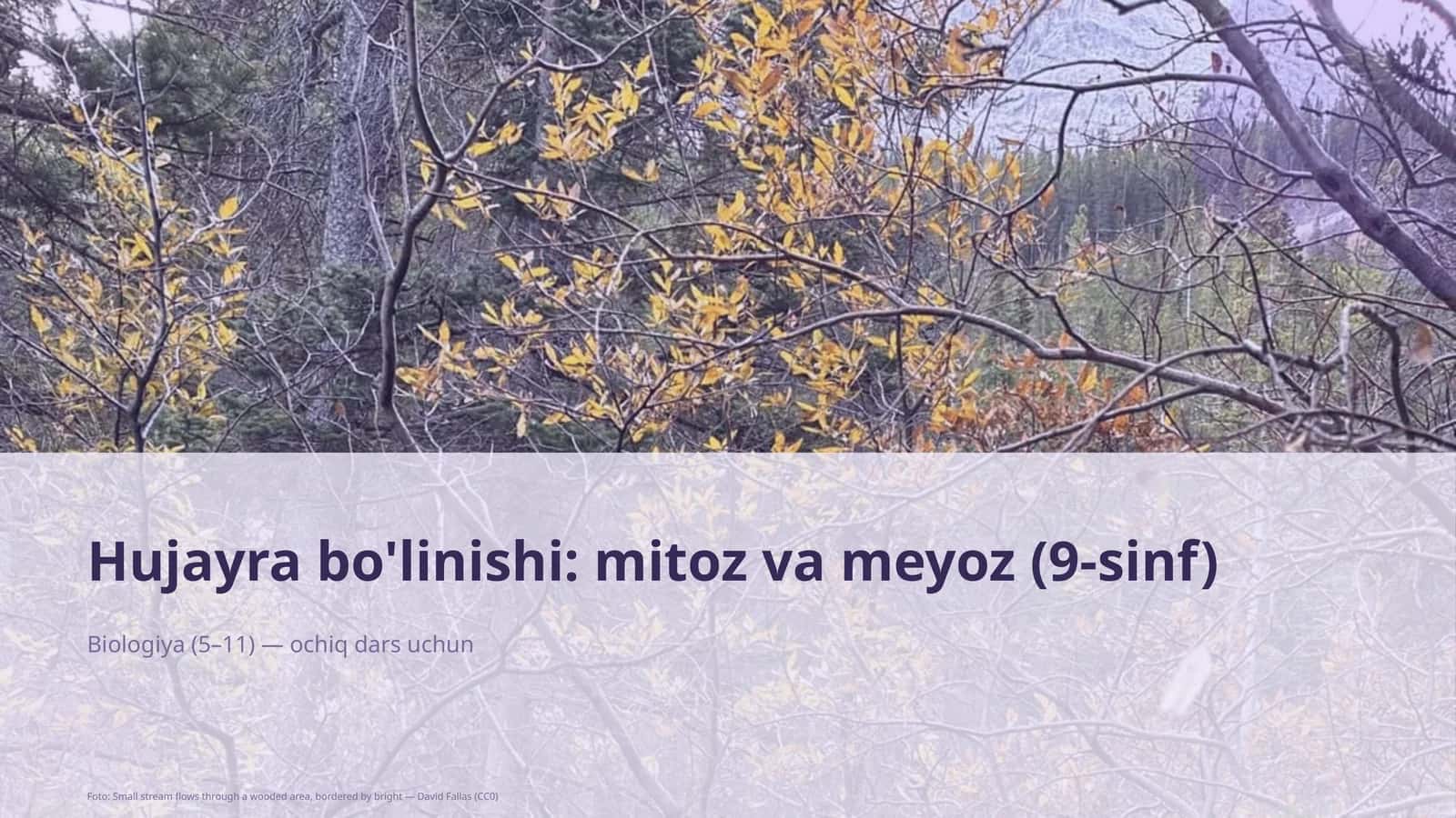 Hujayra bo'linishi: mitoz va meyoz (9-sinf)