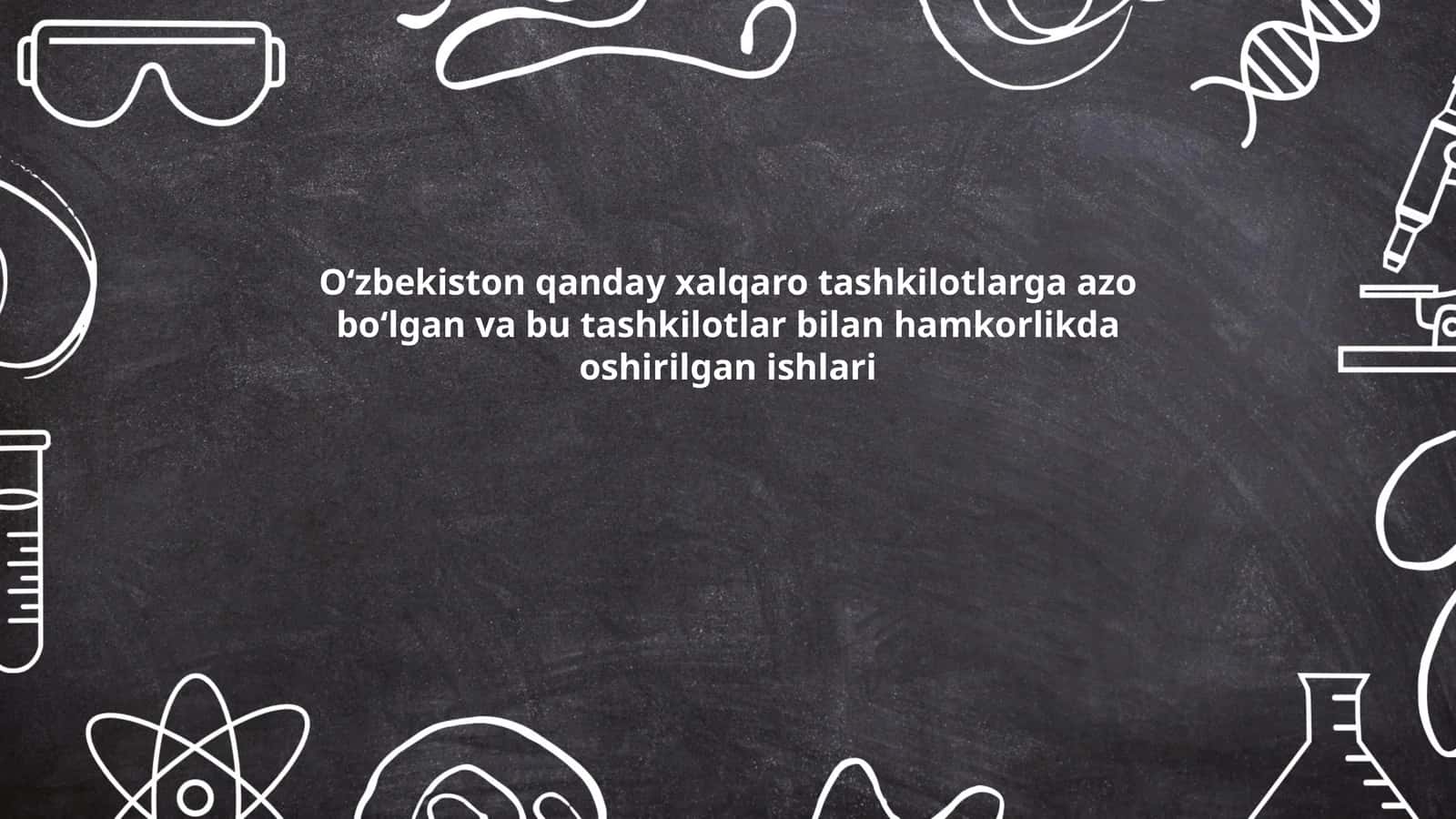 Birlashgan Millatlar Tashkiloti (BMT) bilan hamkorlik