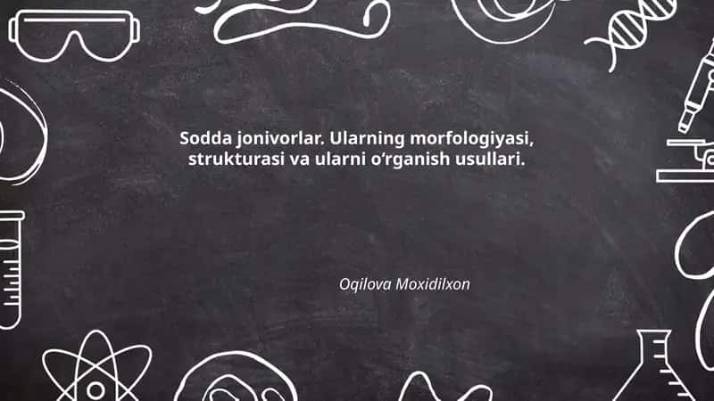 Sodda jonivorlar
