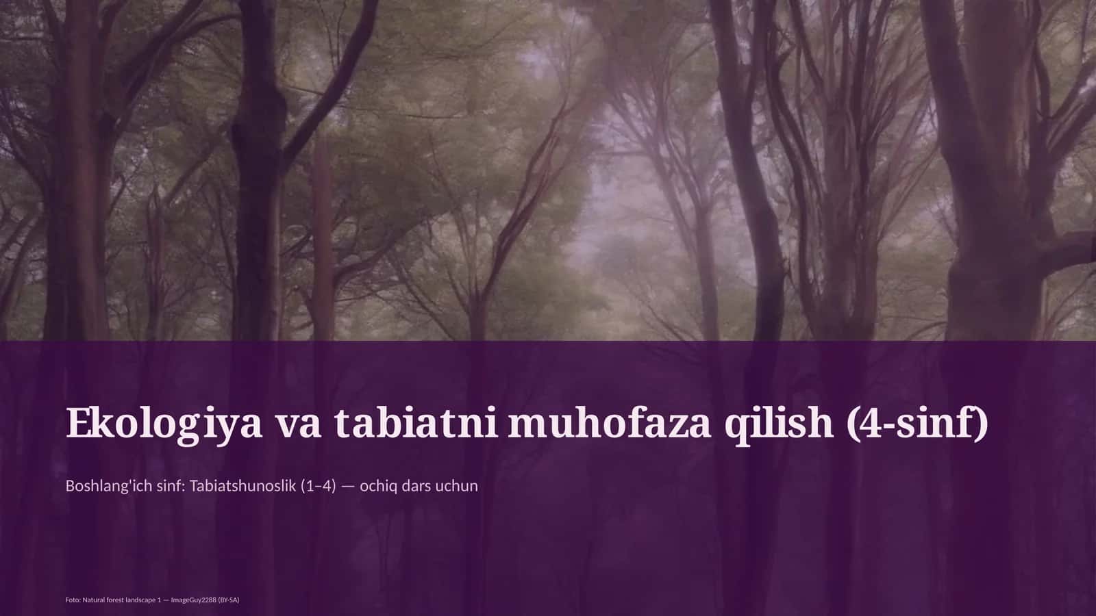 Ekologiya va tabiatni muhofaza qilish (4-sinf)