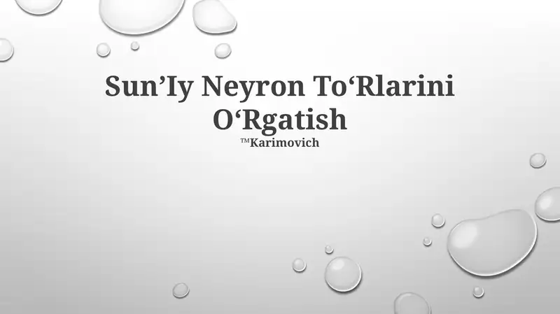 Sun’Iy Neyron To‘Rlarini O‘Rgatish