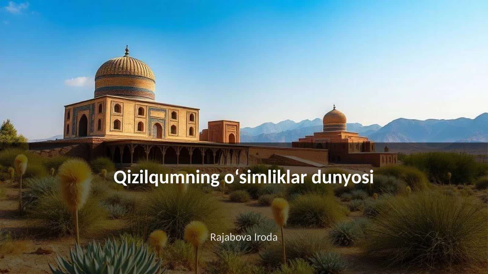Qizilqumning o‘simliklar dunyosi
