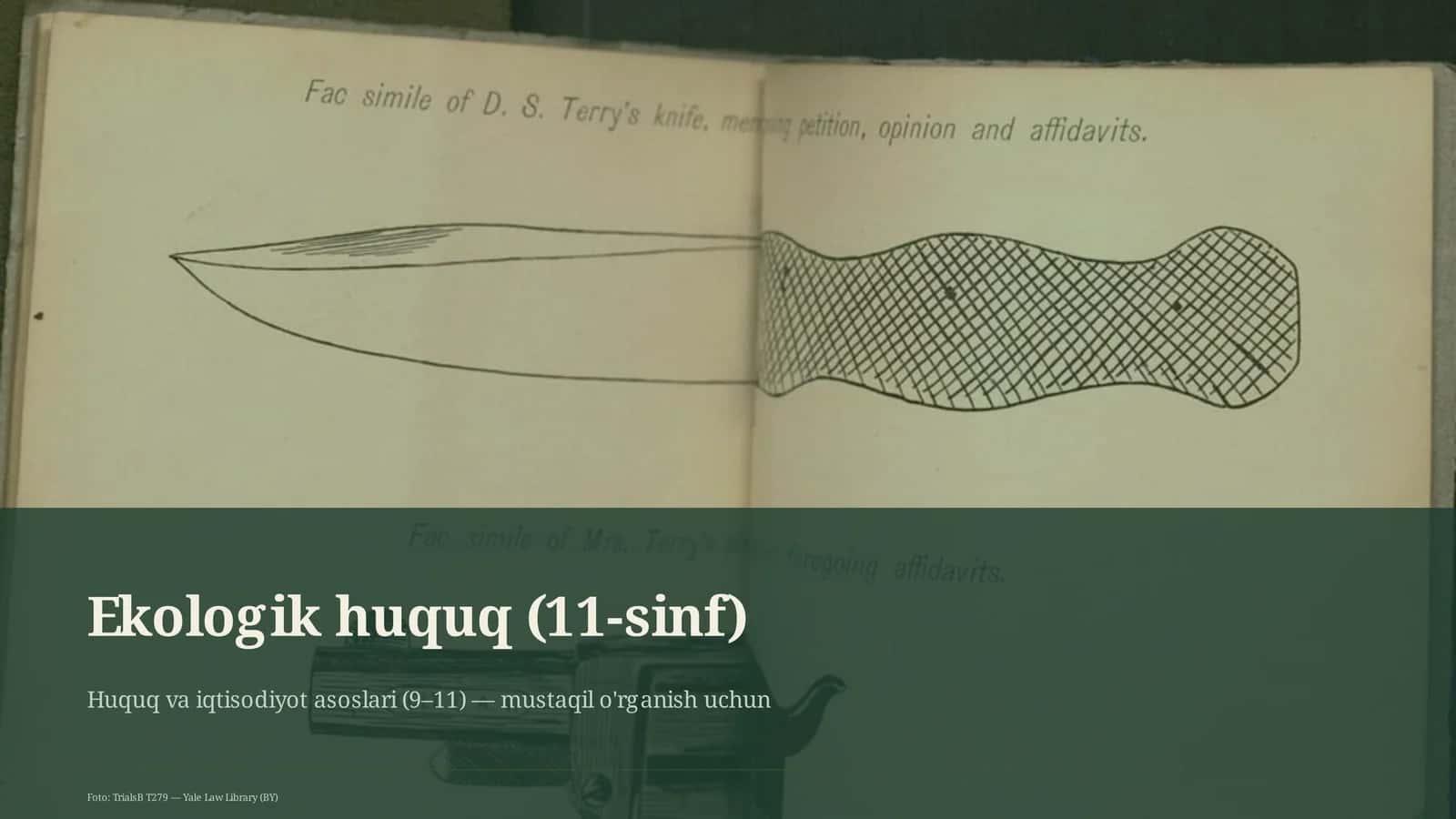 Ekologik huquq (11-sinf)