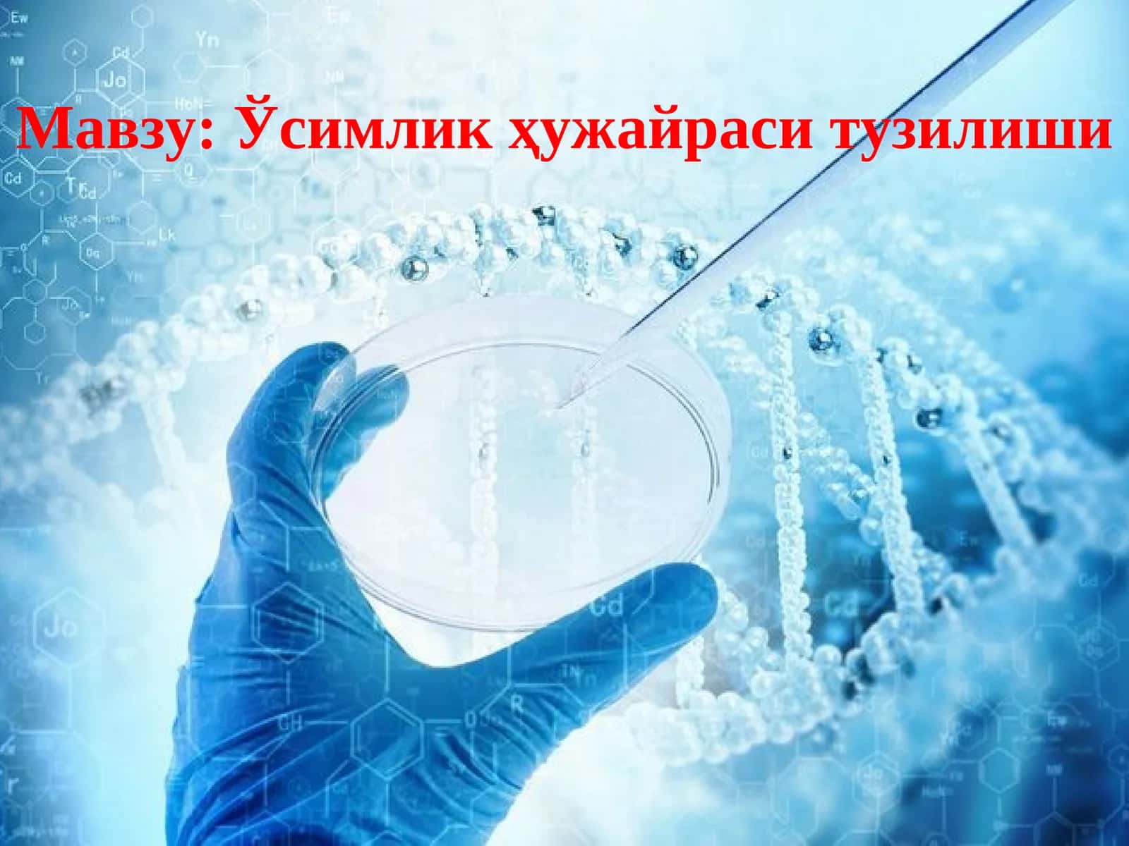 Ҳужайра