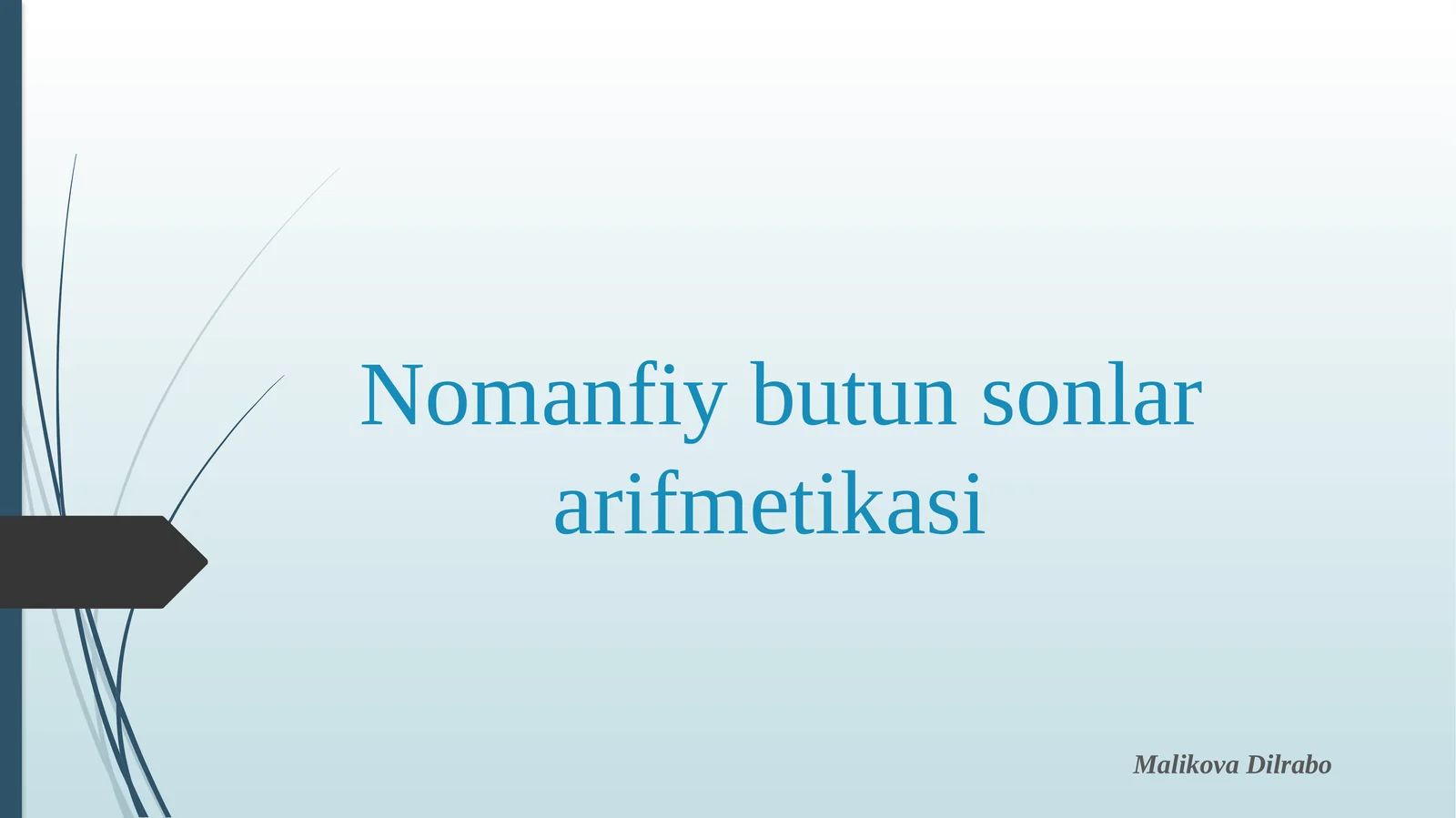 Nomanfiy butun sonlar arifmetikasi