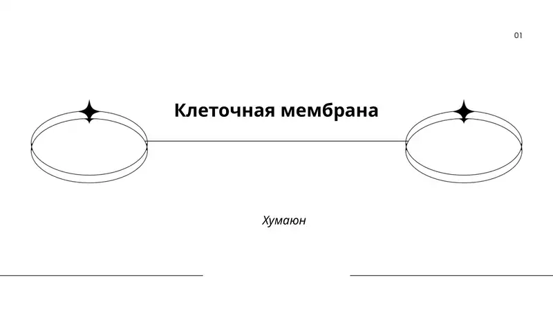 Клеточная мембрана