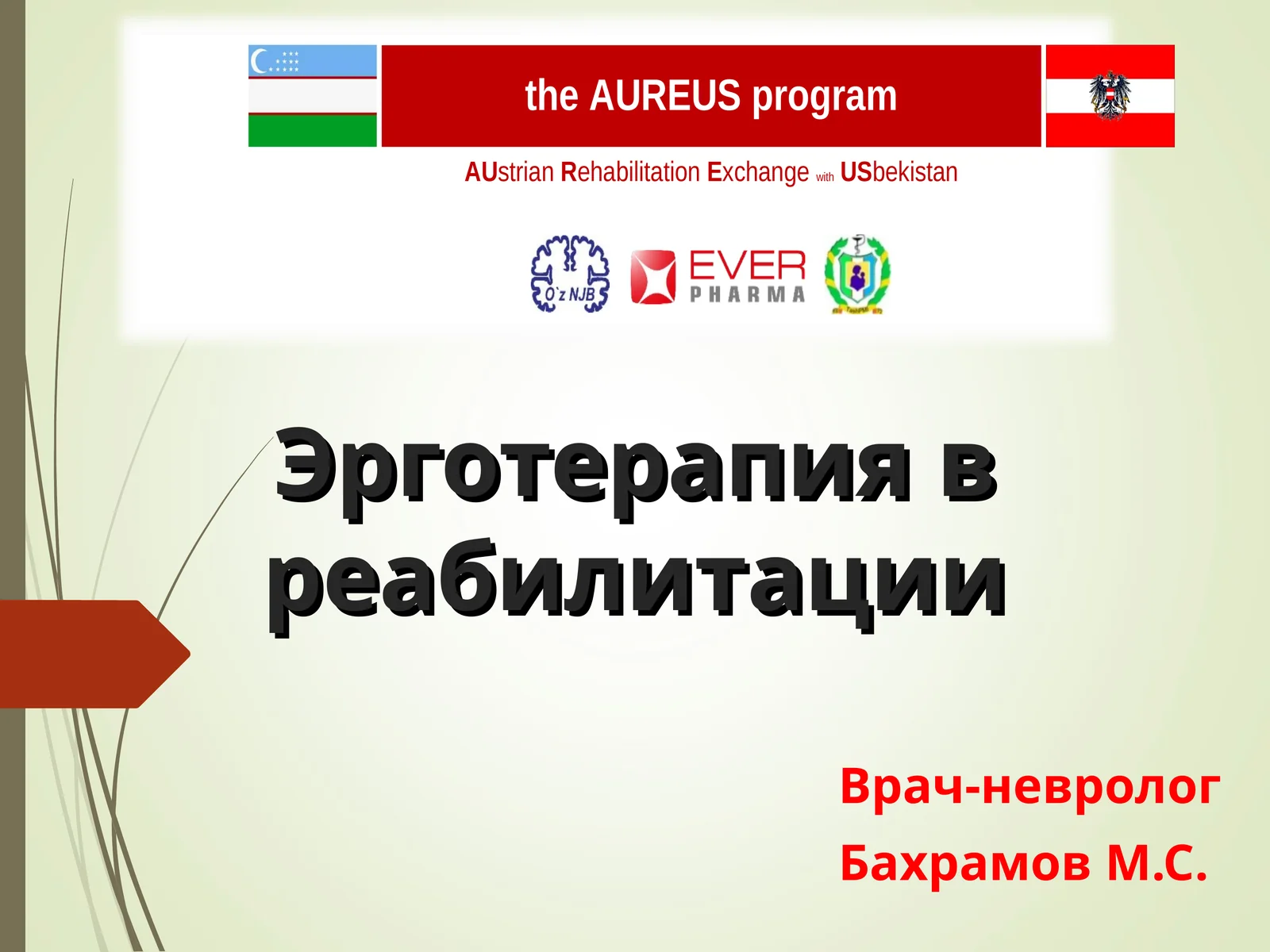 Эрготерапия в реабилитации