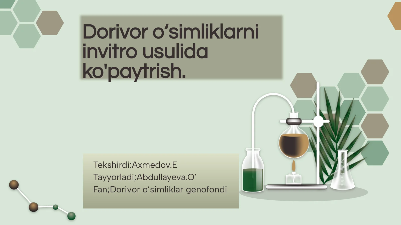 Dorivor o'simliklarni invitro usulida ko'paytirish