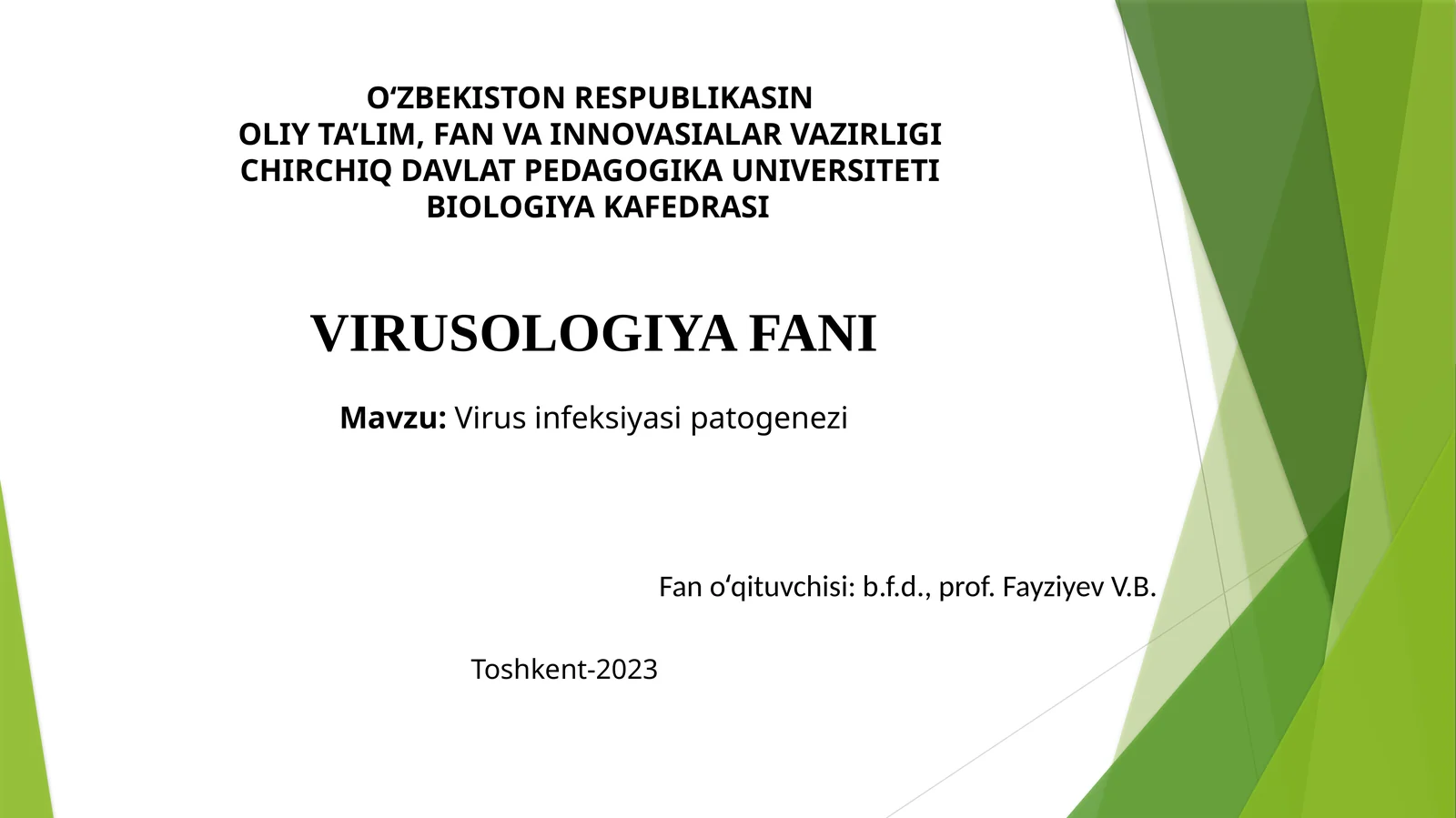 Virusinfeksiyasi patogenezi