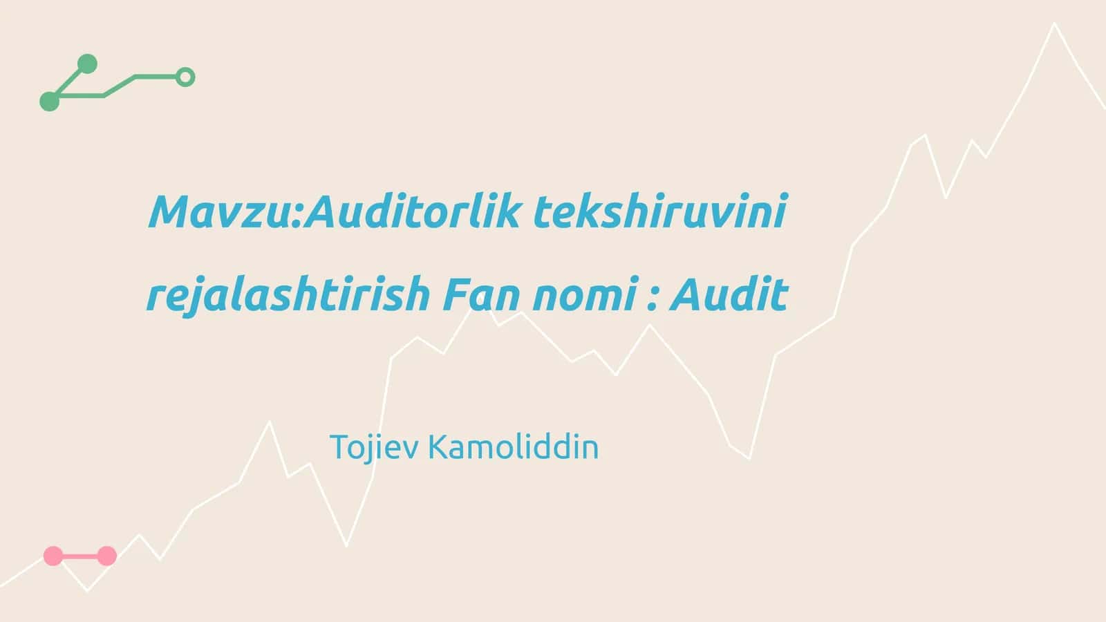 Auditorlik tekshiruvini rejalashtirish