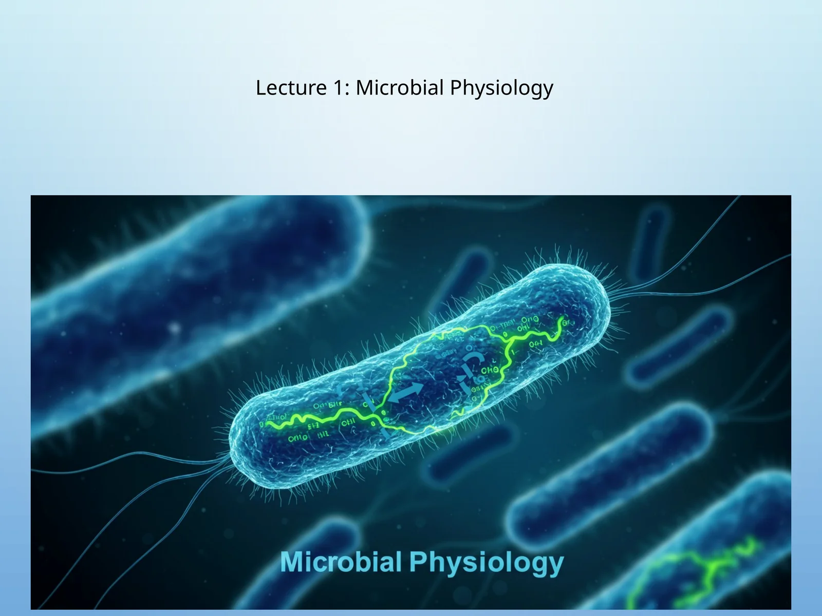Mikrobiologik fiziologiya