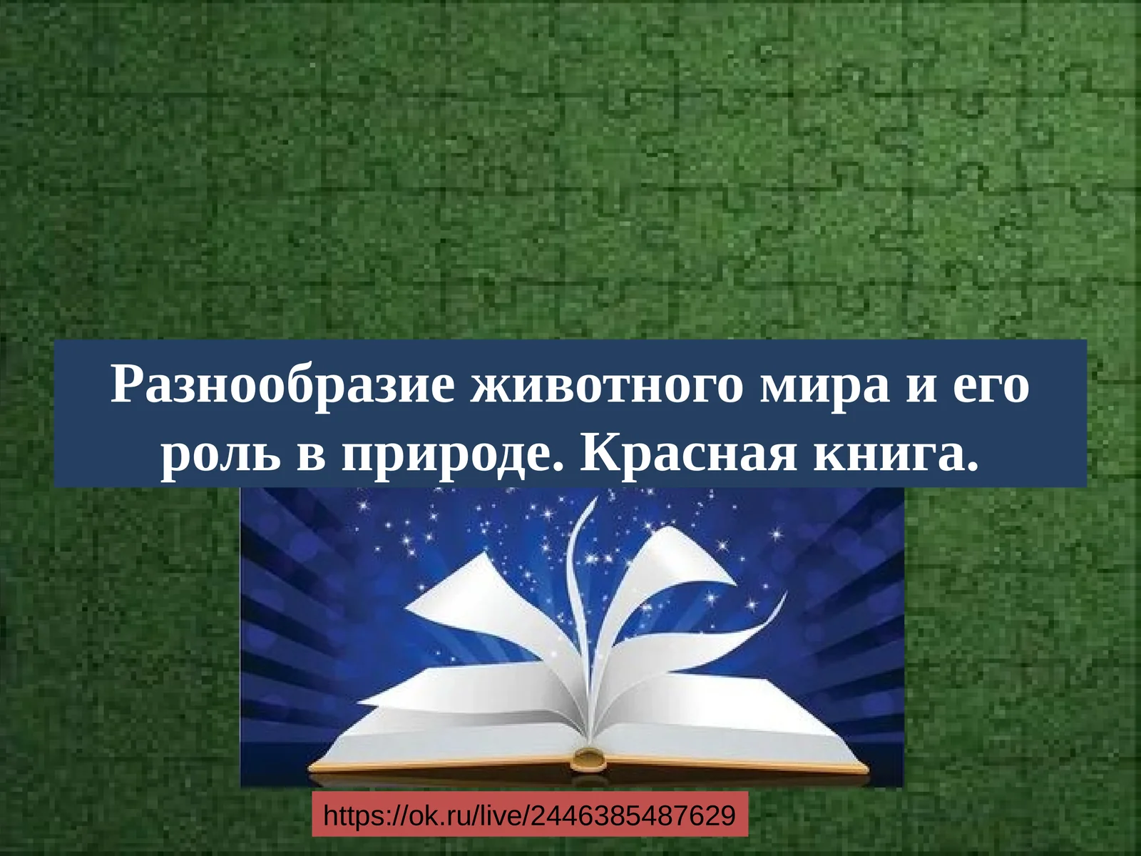 Разнообразие животного мира и его роль в природе. Красная книга