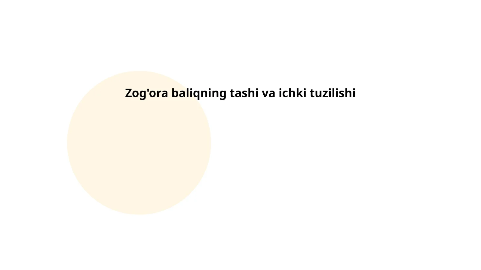 Zog'ora baliqning tashi va ichki tuzilishi