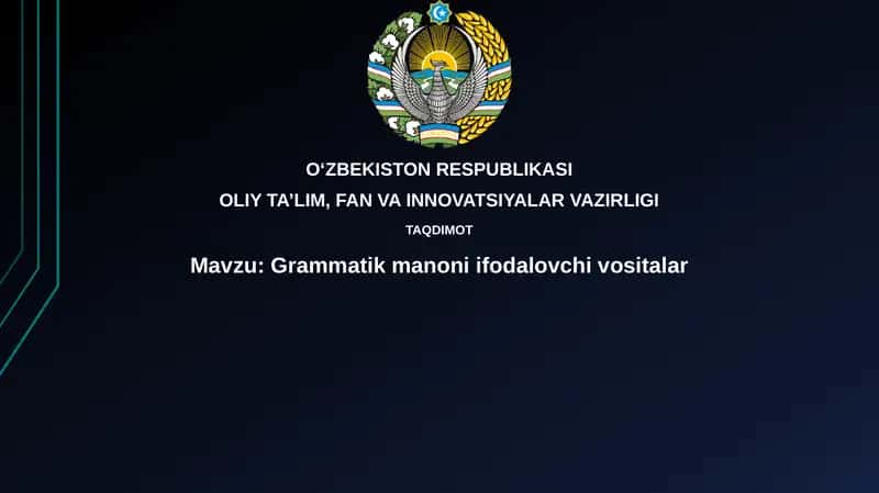 Grammatik manoli ifodalovchi vositalar