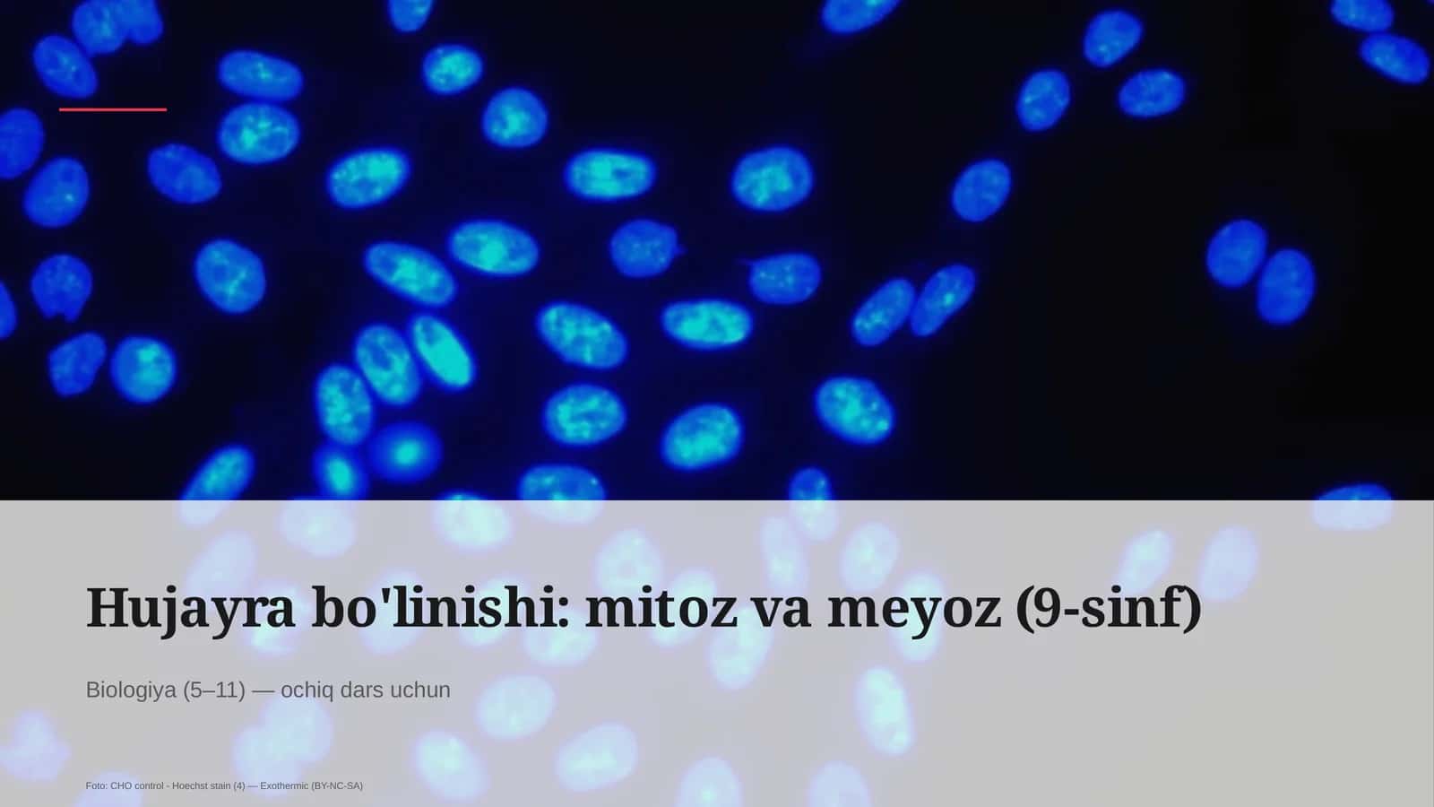 Hujayra bo'linishi: mitoz va meyoz (9-sinf)