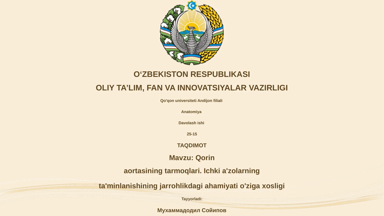 Qorin aortasi